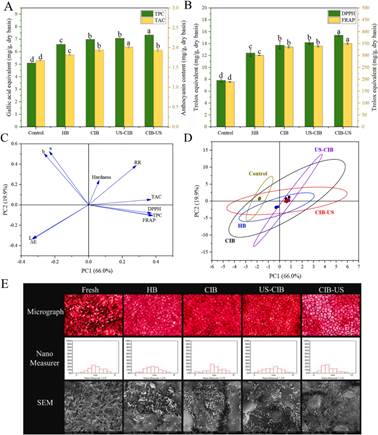 图片包含 游戏机, 工具, 铅笔 描述已自动生成
